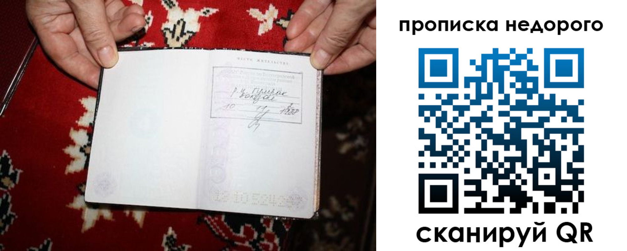 прописка гарантия в Сясьстрое